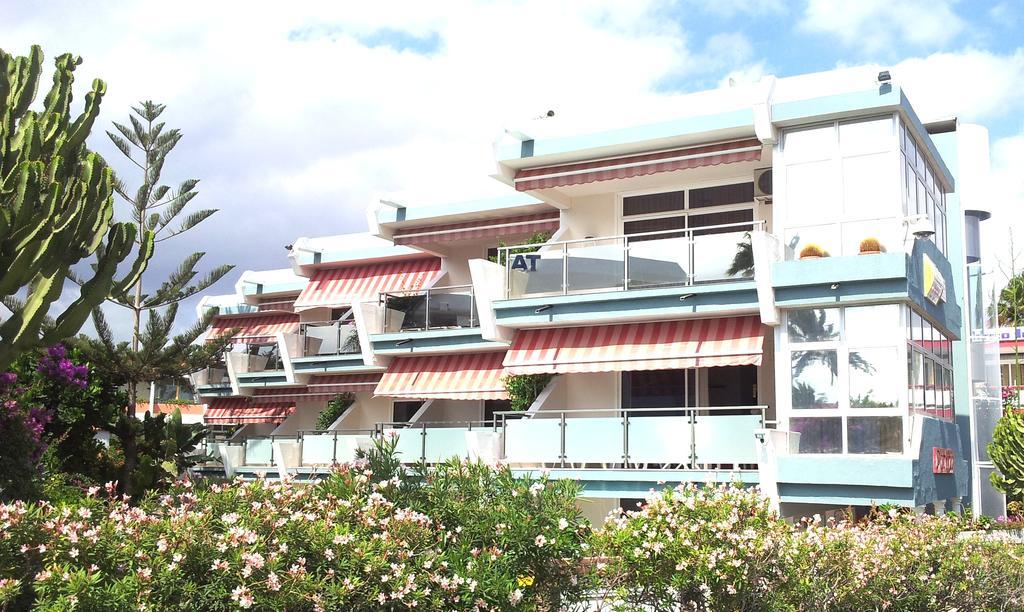 Alsol Patricio Daire Playa del Ingles  Oda fotoğraf