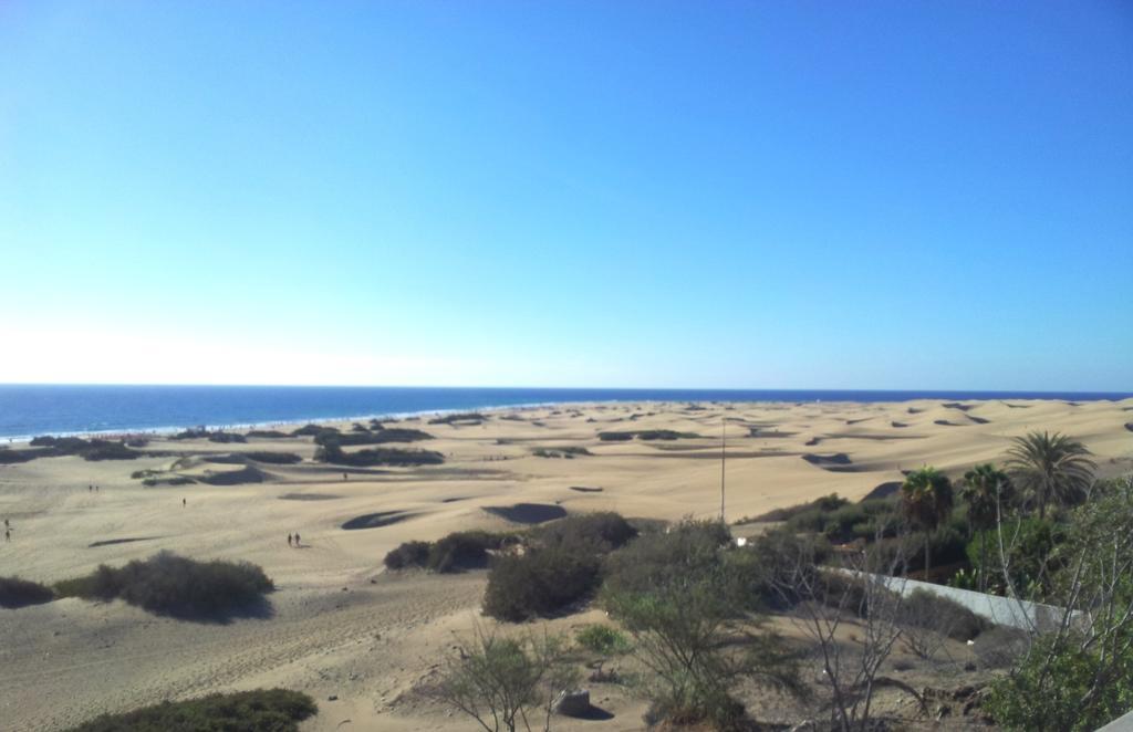 Alsol Patricio Daire Playa del Ingles  Oda fotoğraf